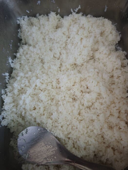 白飯