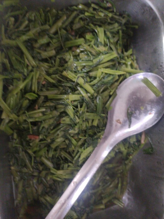 履歷蔬菜