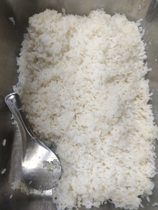 胚芽飯