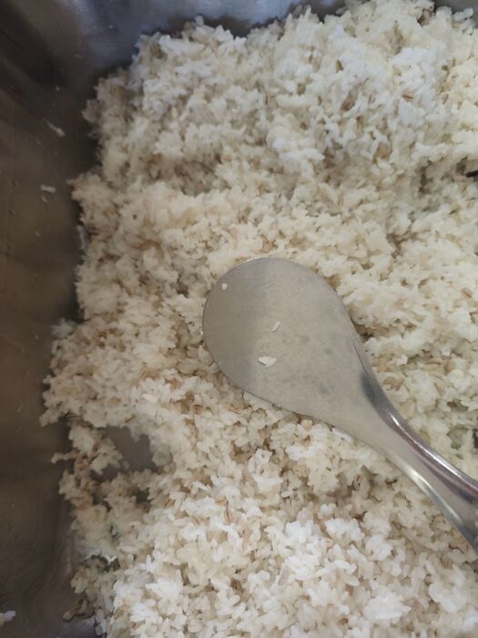 薏仁飯
