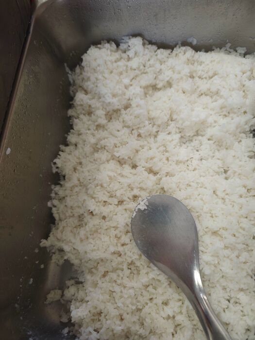白飯