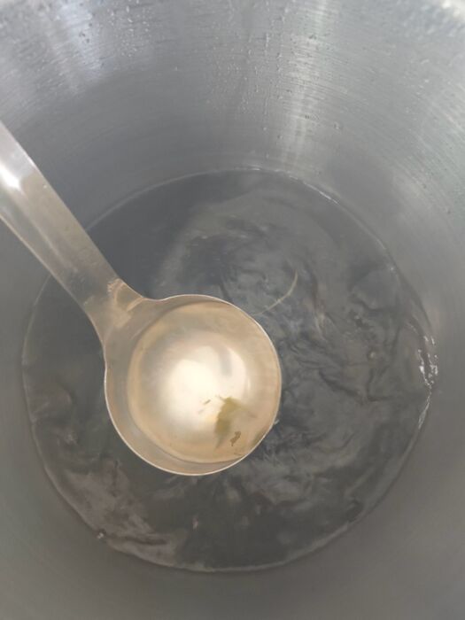 裙帶海芽湯