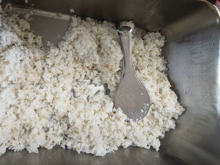 胚芽飯