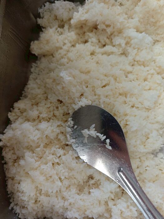 胚芽飯