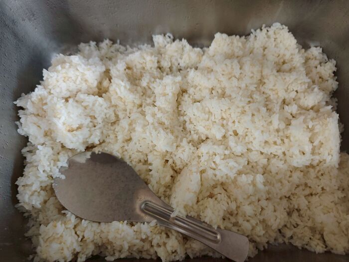 胚芽飯