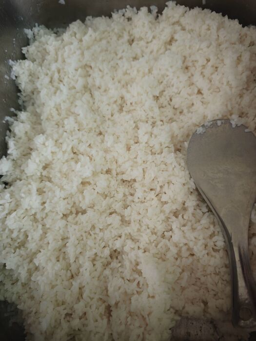 白飯