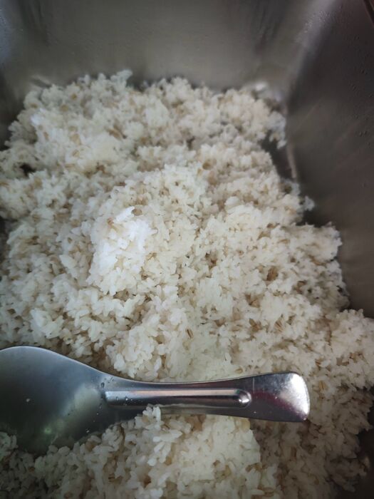 薏仁飯