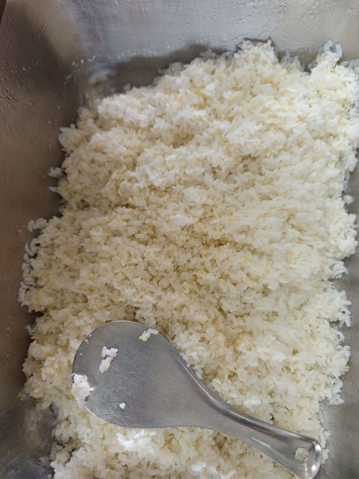 白飯
