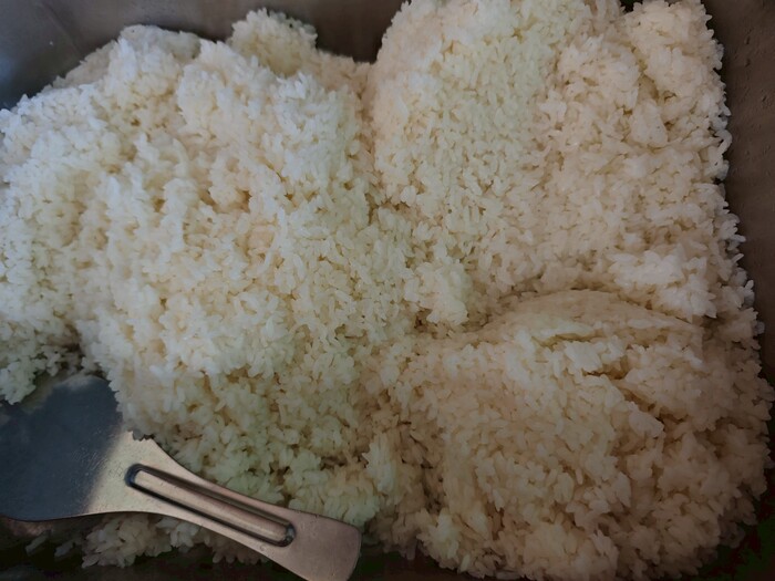 白飯圖片