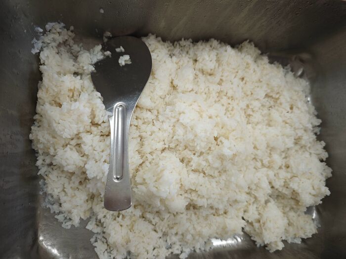 胚芽飯