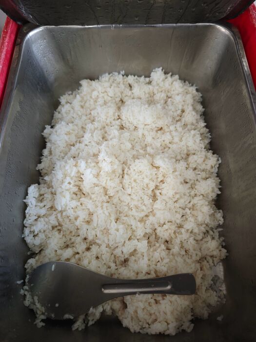 胚芽飯