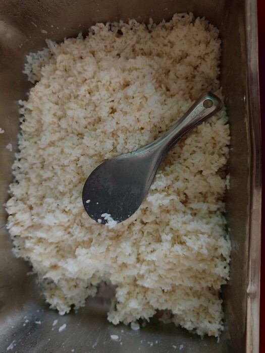 胚芽飯圖片