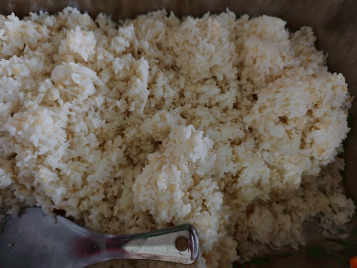 糙米飯