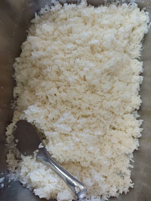 白飯
