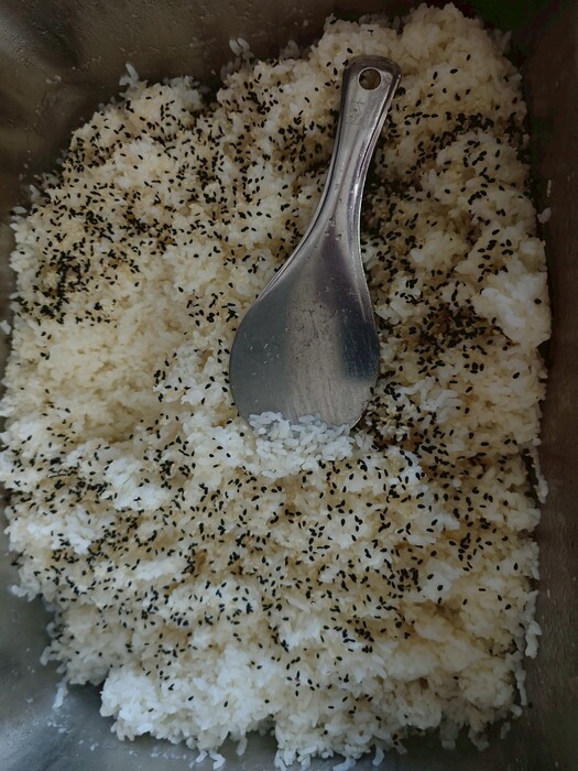 芝麻飯圖片