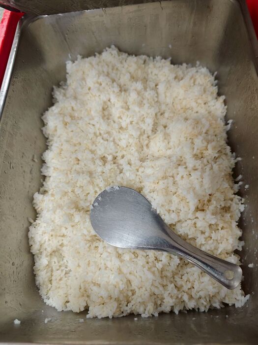 胚芽飯