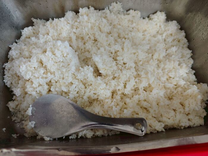 胚芽飯