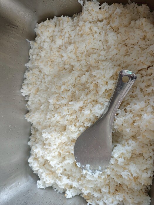 糙米飯圖片