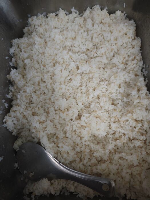 糙米飯