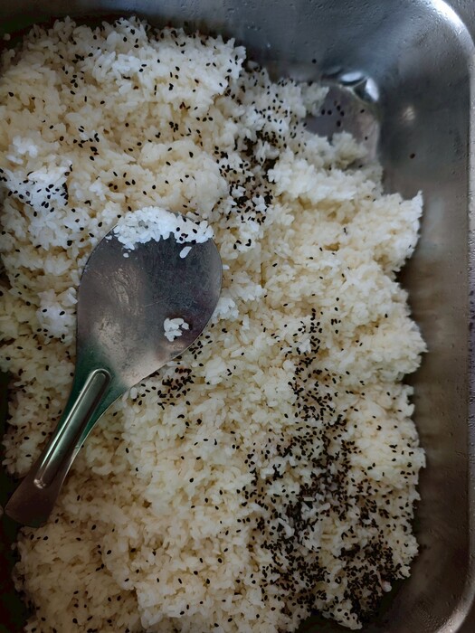 芝麻飯圖片