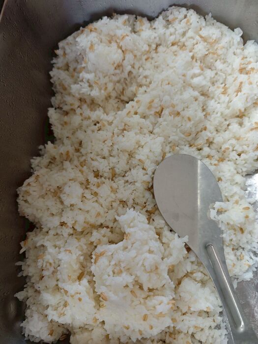 燕麥飯