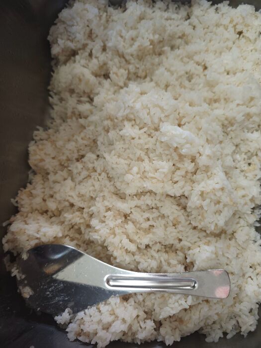糙米飯