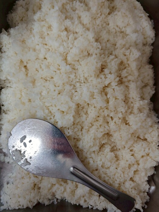 白飯