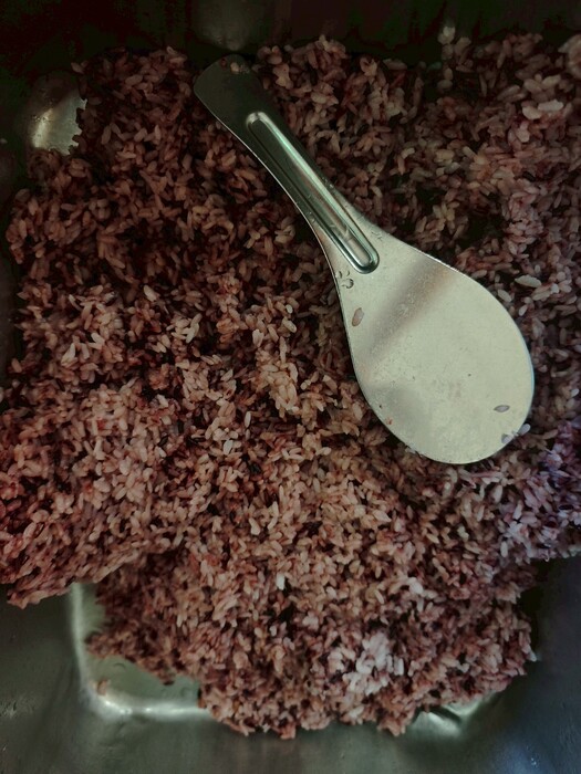 紫米飯圖片