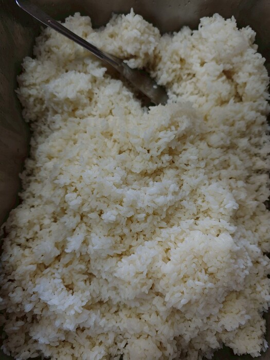 白飯圖片