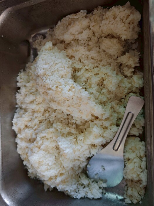 糙米飯圖片