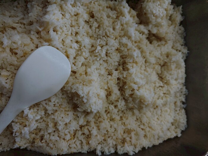糙米飯