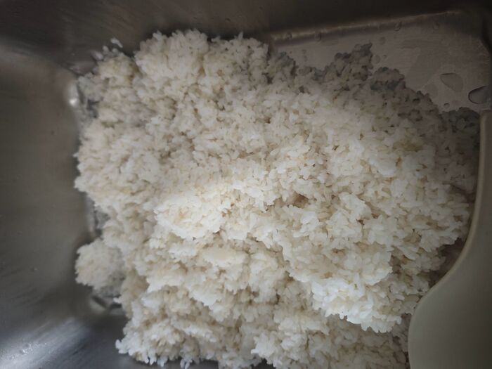 胚芽飯