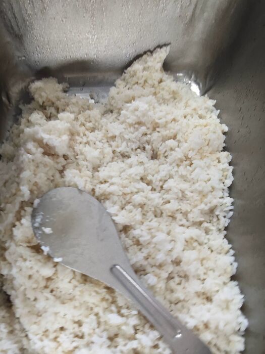 胚芽飯