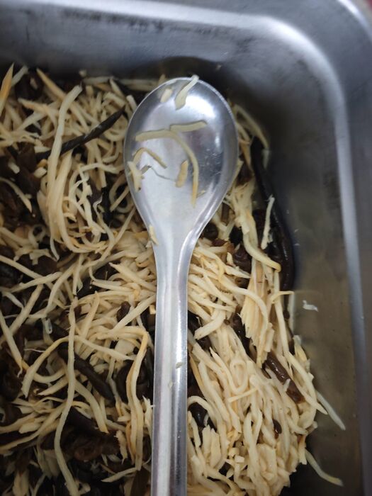 捲捲海茸