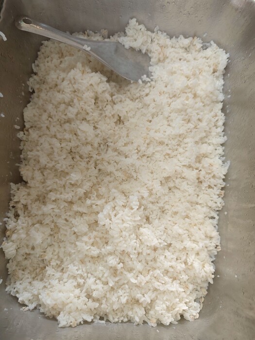 麥片飯圖片