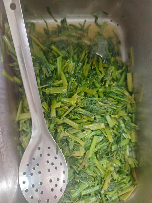 履歷蔬菜圖片