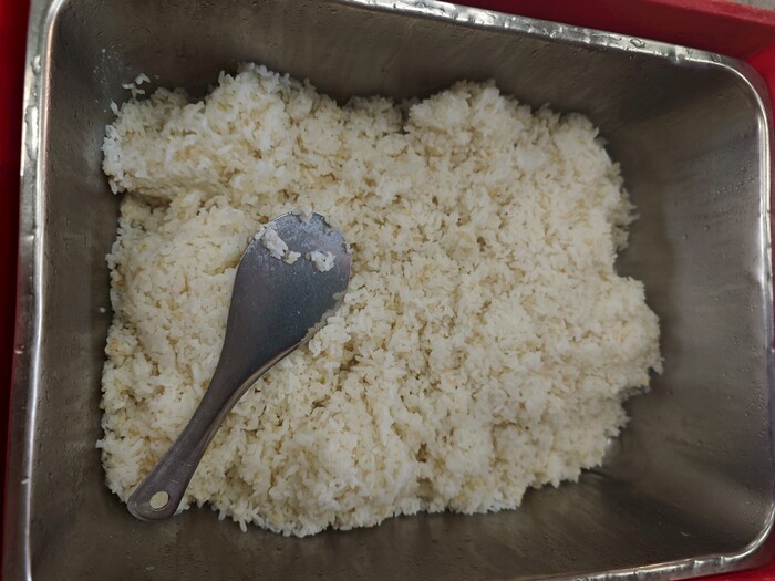 糙米飯圖片