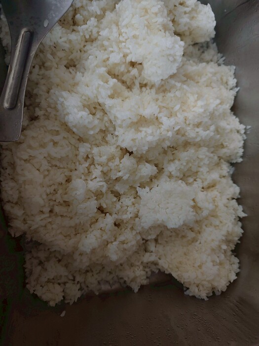 白飯