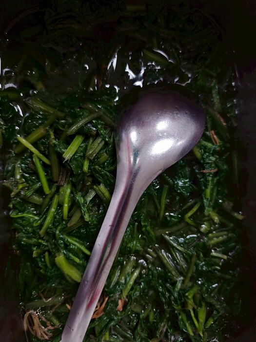 有機蔬菜