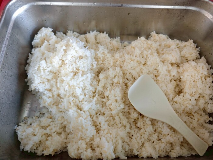 糙米飯圖片