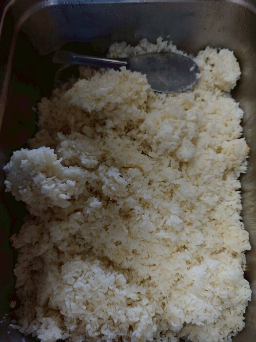 胚芽飯