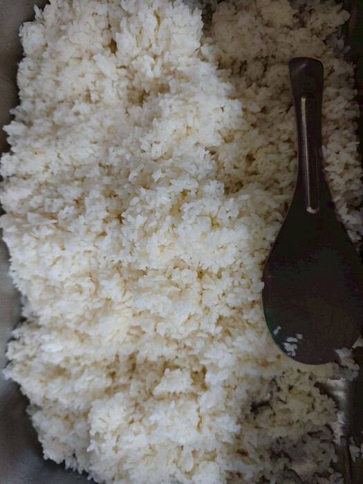 白飯