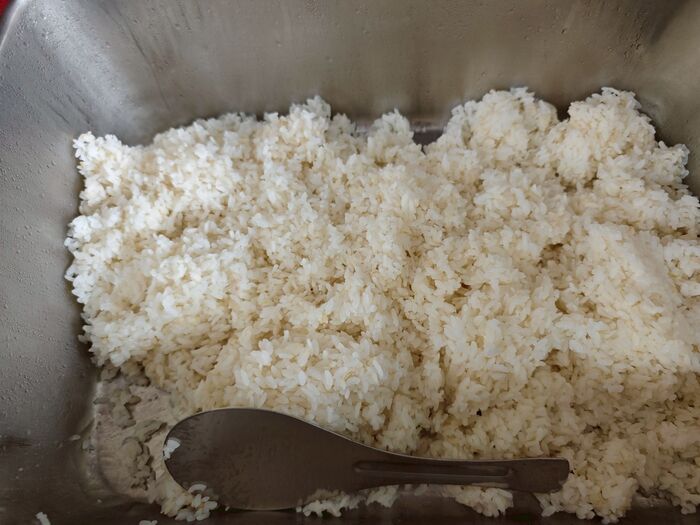 胚芽飯