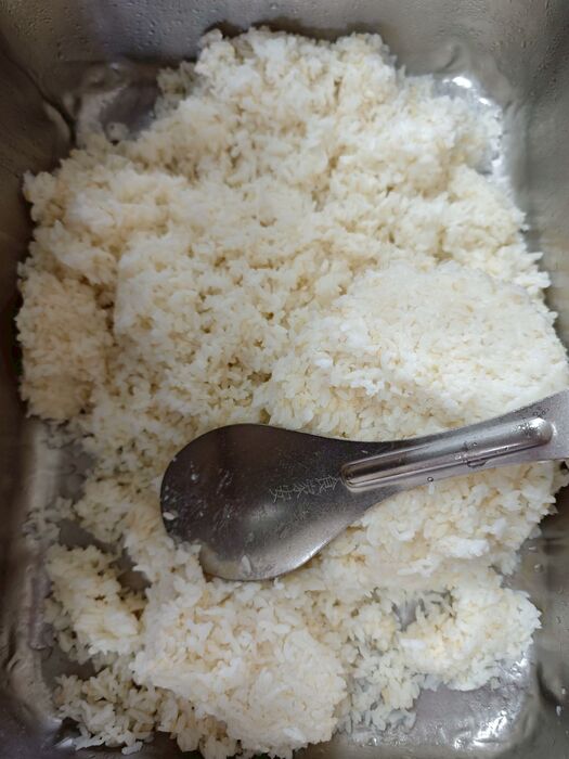 胚芽飯