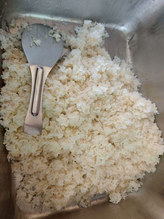 糙米飯
