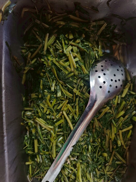履歷蔬菜圖片