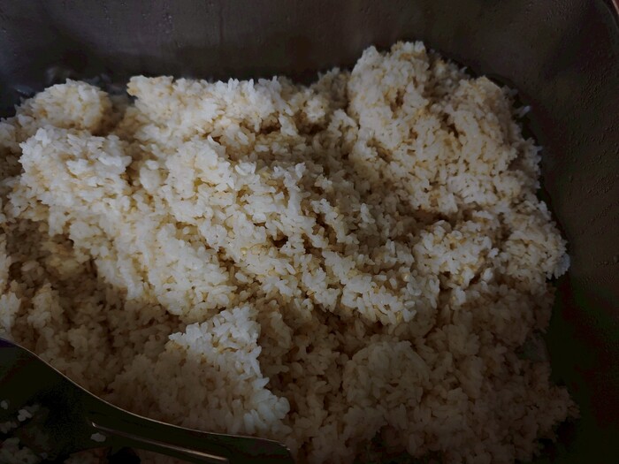 糙米飯