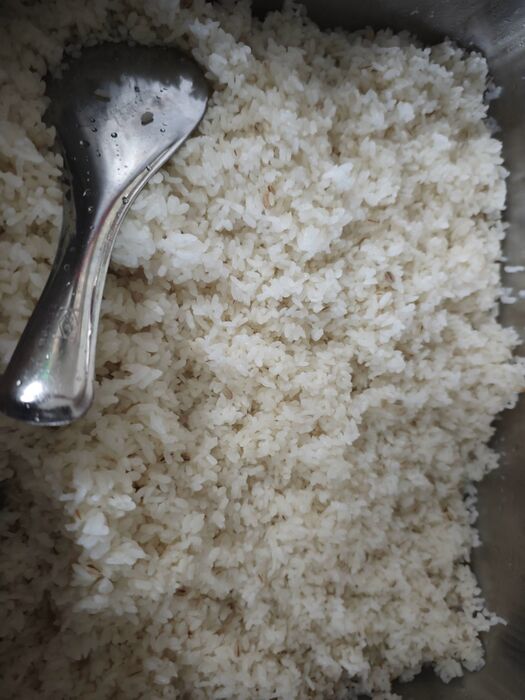 薏仁飯