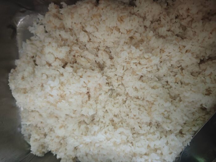 糙米飯
