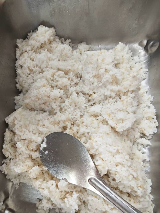 糙米飯